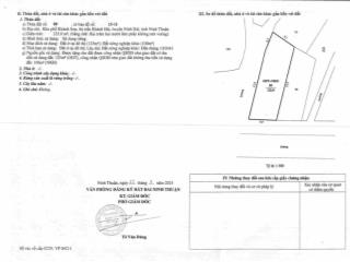 Diện tích 225m2 (odt 125m2 hnk 100m 2)