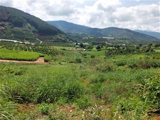 Ngoại ô đà lạt mua đất nghỉ dưỡng 2 mặt tiền, view đồi đẹp, giá chỉ bằng một chuyến đầu tư nhỏ
