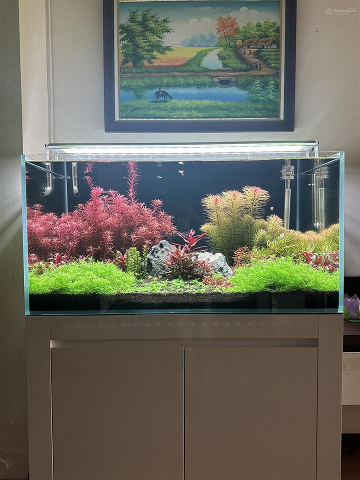 Chính chủ bán căn hộ 86,26m tại cc 151a nguyễn đức cảnh, hà nội