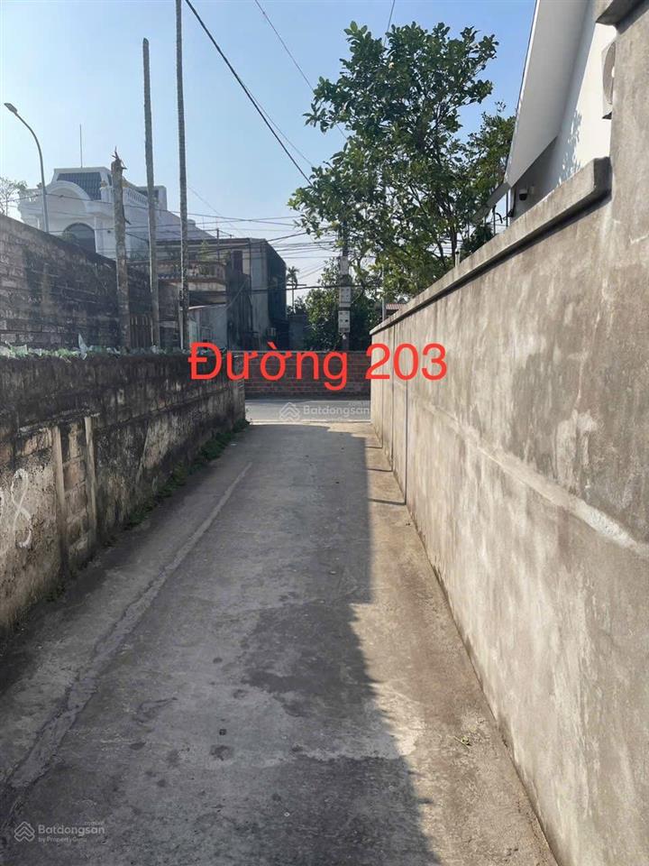 Bán lô đất đẹp thôn đông, xã lâm động, thủy nguyên