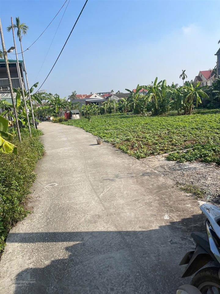 Bán lô đất đẹp thôn đông, xã lâm động, thủy nguyên