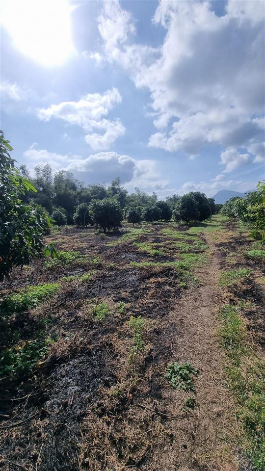 Cần bán lô đất mặt tiền đường số 6, cam thành bắc, cam lâm, khánh hòa giá 18 tr/m