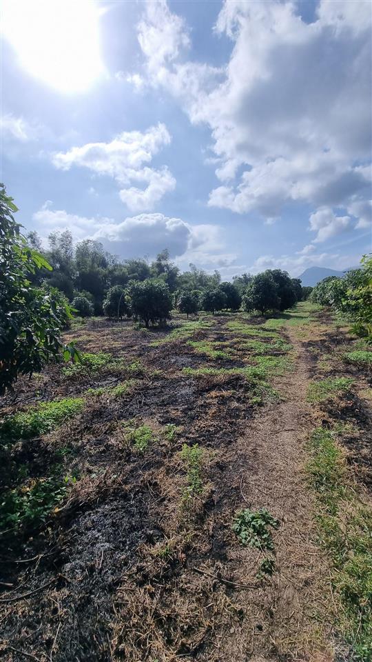 Cần bán lô đất mặt tiền đường số 6, cam thành bắc, cam lâm, khánh hòa giá 18 tr/m