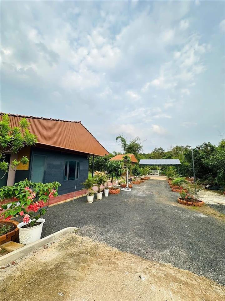 Chính chủ cần bán gấp nhà vườn 1200m2 giá 500tr. ql13. ngay kcn chơn thành. shr