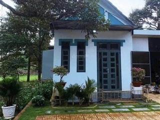 Chủ cần bán gấp 2 sào sầu riêng, có sẵn nhà, 800tr, shr, ql13, ngay kcn becamex.