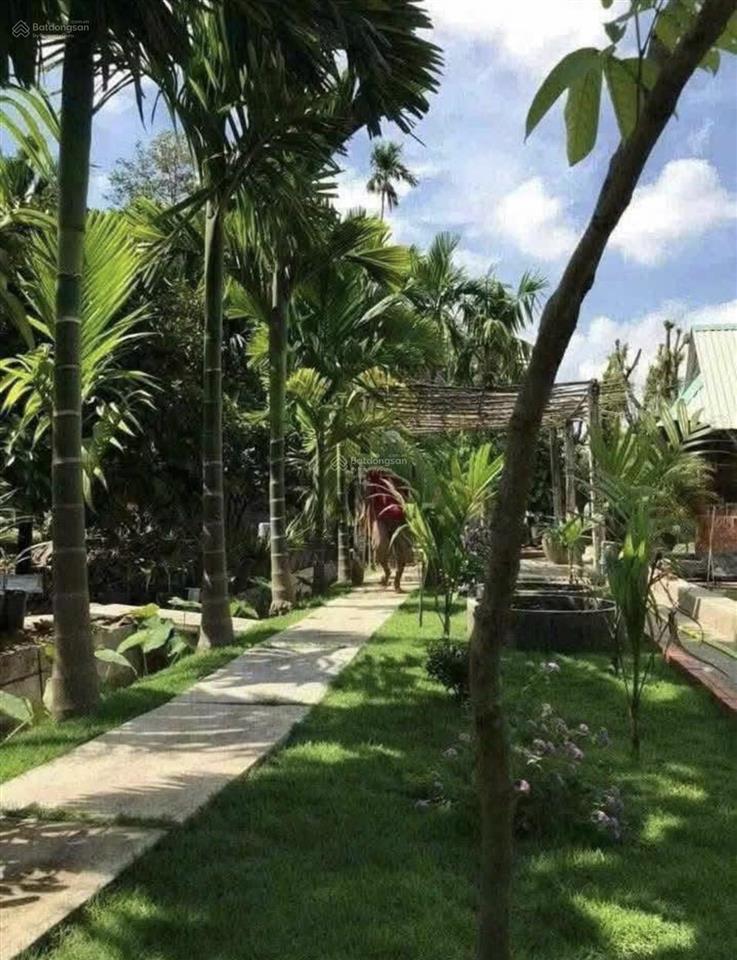 Chủ bán gấp nhà vườn nghỉ dưỡng 1200m2 chỉ 1 tỷ 050tr, sát ql 13, sổ sẵn.