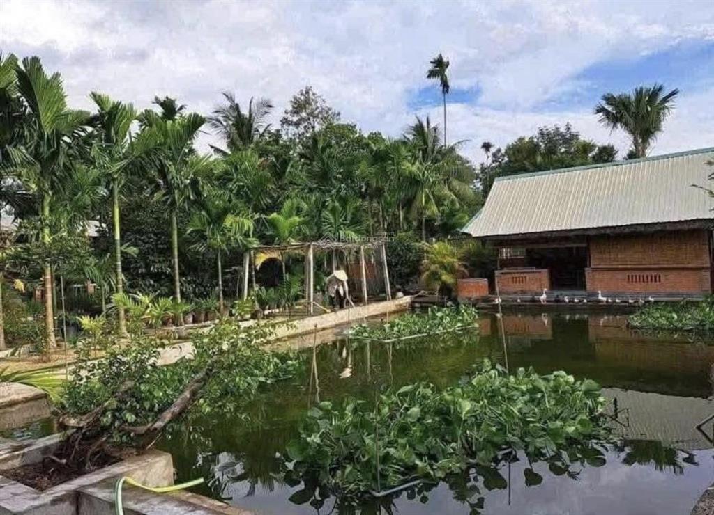 Chủ bán gấp nhà vườn nghỉ dưỡng 1200m2 chỉ 1 tỷ 050tr, sát ql 13, sổ sẵn.