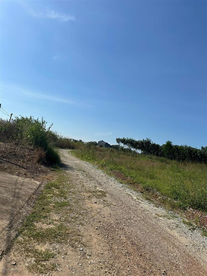 Bán 5 lô đất sổ đỏ huyện hớn quản từ 395tr