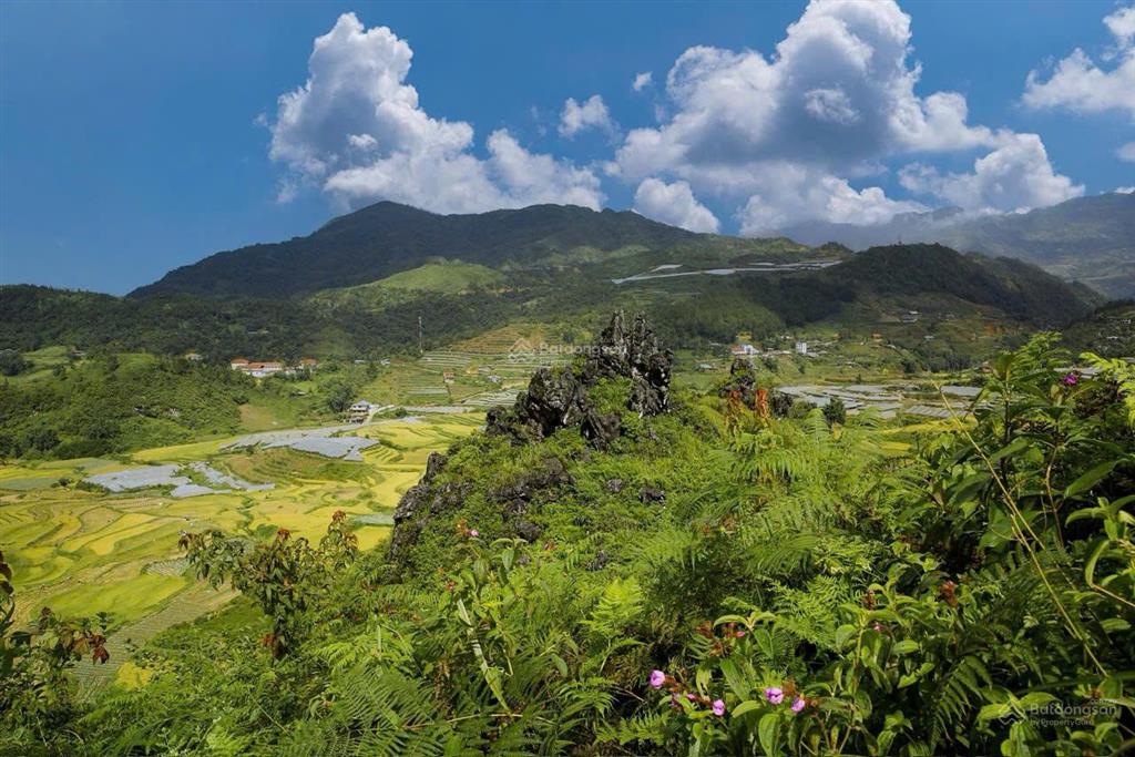 Bán đất thương mại 4,07ha tại tả phìn sa pa, sổ đỏ giá 250 tỷ thương lượng
