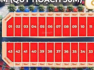 Chính chủ bán gấp căn om.01 dự án himlam 2 thường tín