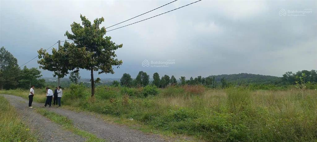 Bán đất mặt tiền, sổ hồng riêng, thổ cư 100%, vị trí đẹp, tiềm năng tăng giá