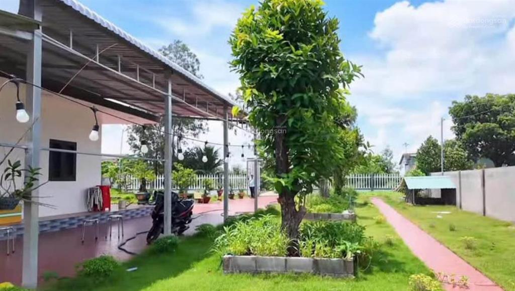 Chủ kẹt bank nên cần bán gấp căn nhà vườn 1300 mét vuông có sẵn thổ cư, giá 240tr