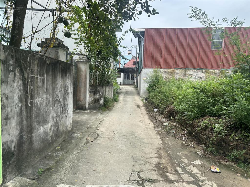 Bán mảnh đất nhỏ xinh vị trí góc 2 mặt tiền tại cổ loa. dt 47m2, ngõ 4m