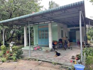 Căn nhà vườn gần 3000m2 có sẵn thổ cư, nằm ngay ql13