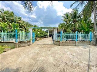 Chủ kẹt tiền cần bán nhanh căn nhà vườn sầu riêng giá 210tr bao tất cả chi phí, nằm ngay ql13