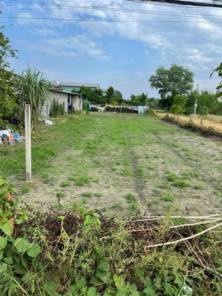 Đất đường bà thiên, xã nhuận đức, củ chi, diện tích 378m2 giá 1ty3, gần ủy ban  sổ hồng riêng
