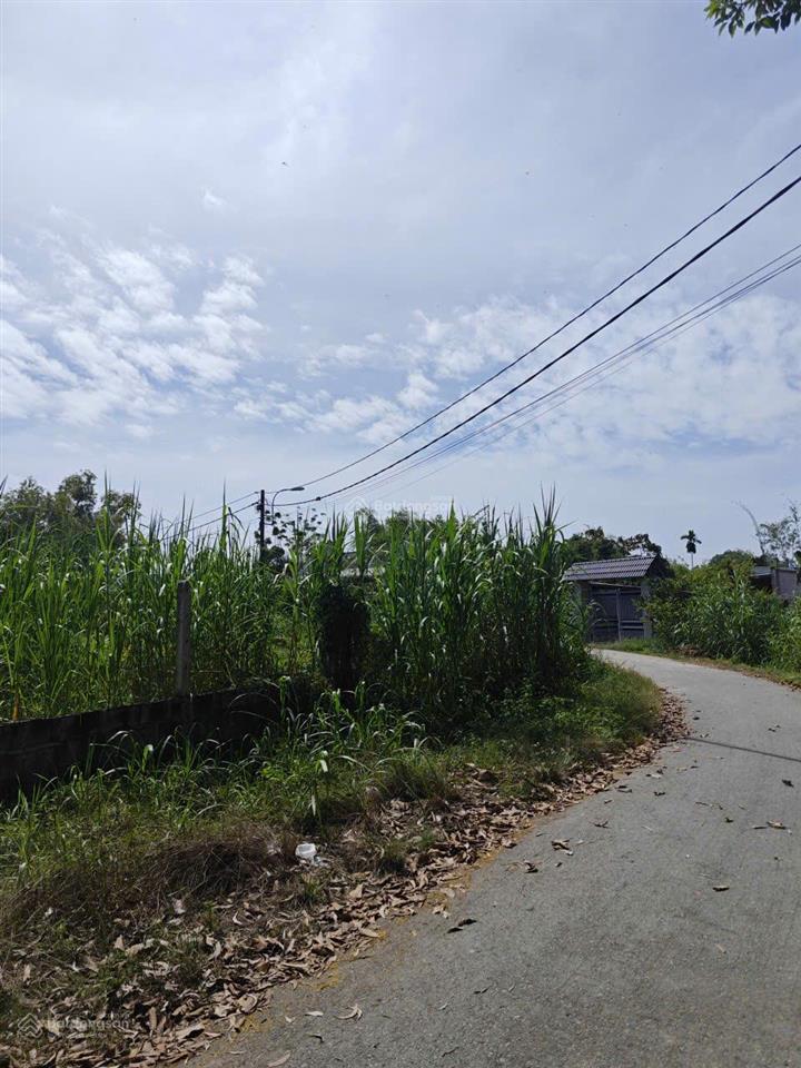 Bán gấp lô đất 150m2 giá 950 triệu ngay đường võ văn điều xã phước thạnh , củ chi gần trường học.