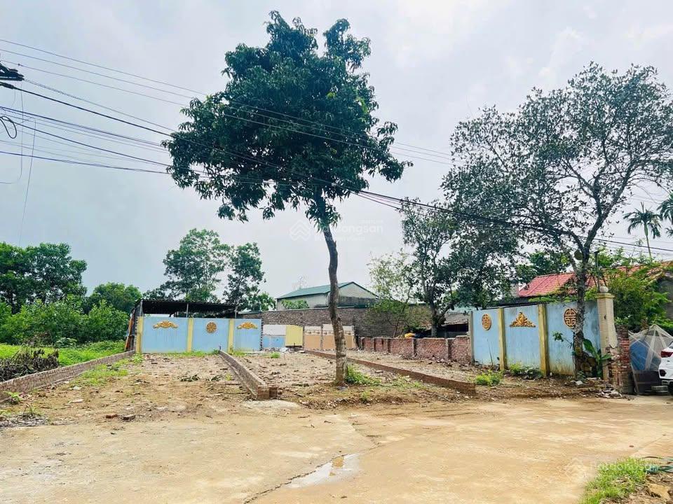 Bán đất gần nhà giá xứ văn hải, xã định hoá, kim sơn, ninh bình, giá cực chất 4,6 tỷ, 153,6 m2