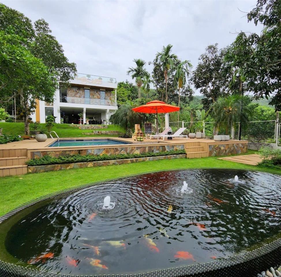 Siêu phẩm biệt thự nghỉ dưỡng ba vì hồ cá koi hồ bơi không gian xanh