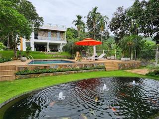 Siêu phẩm biệt thự nghỉ dưỡng ba vì hồ cá koi hồ bơi không gian xanh