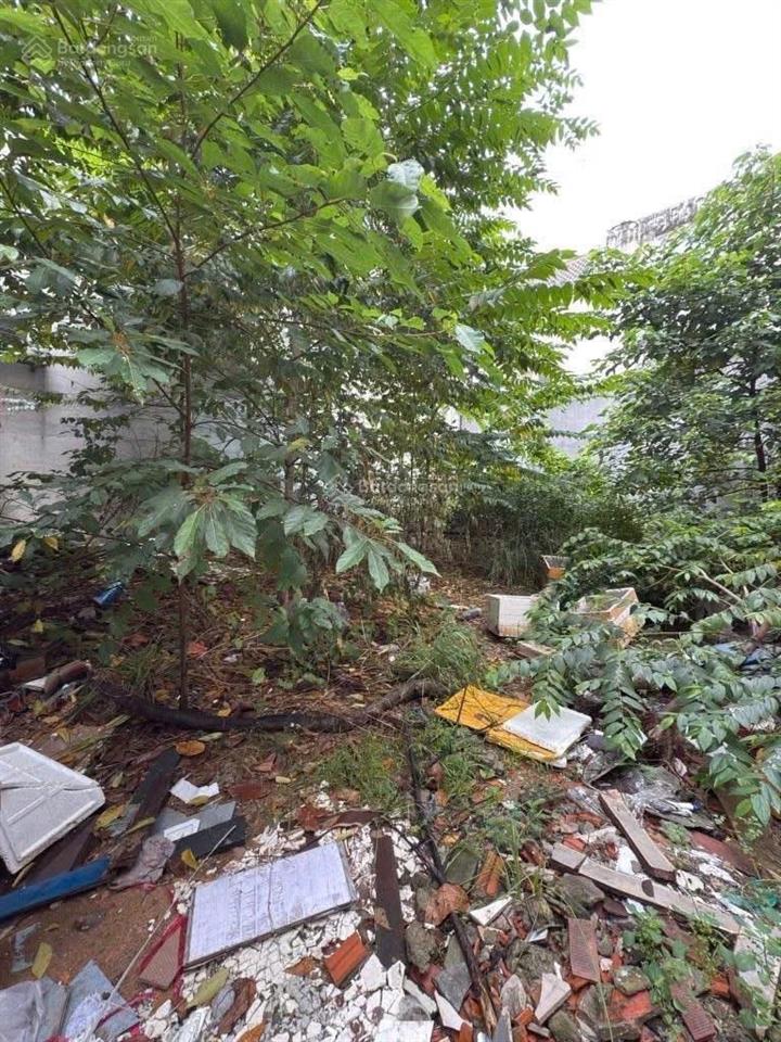 Đất đẹp  nở ngang 8m  hxh  xô viết nghệ tĩnh  96m²