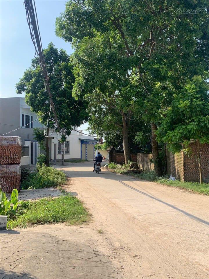 Bán đất 350m2, 9,9 tỷ cầu đông hải, xã định hoá, kim sơn, ninh bình