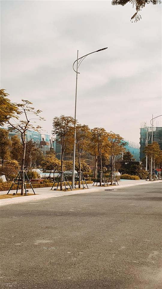 Phú quý suất đầu tư đẹp nhất vlasta thuỷ nguyên.
giá tốt hôm nay không còn lại vào ngày mai