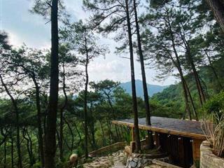 Sang nhượng homestay may forest thiên phú lâm, sóc sơn (chính chủ)
