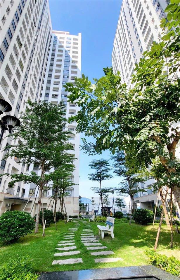 Cho thuê căn hộ iris tower chung cư hòa bình ngay khu vsip 1  giá chỉ 4,5tr nhà mới đẹp, ở ngay