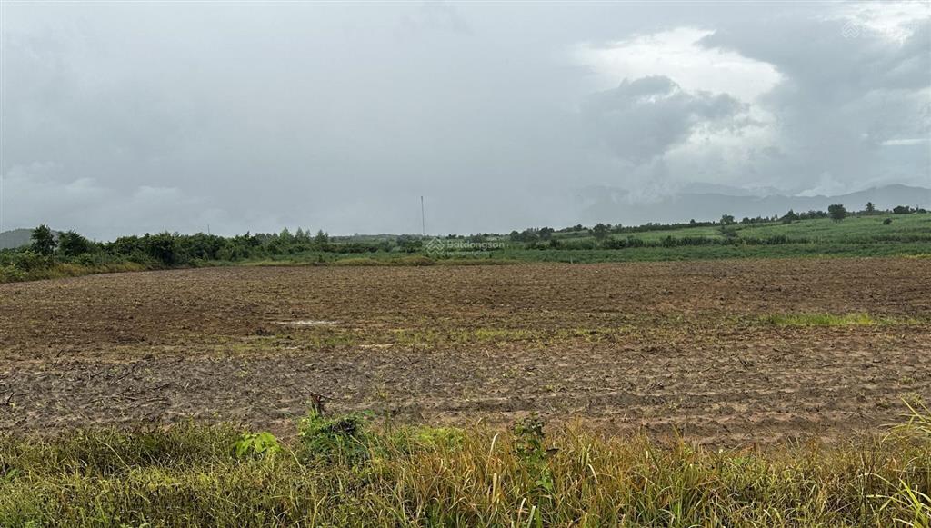 Mình là chính chủ cần bán nhanh lô đất đẹp giá rẻ 10.400m2 buôn sim, tây ninh hoà, khánh hoà