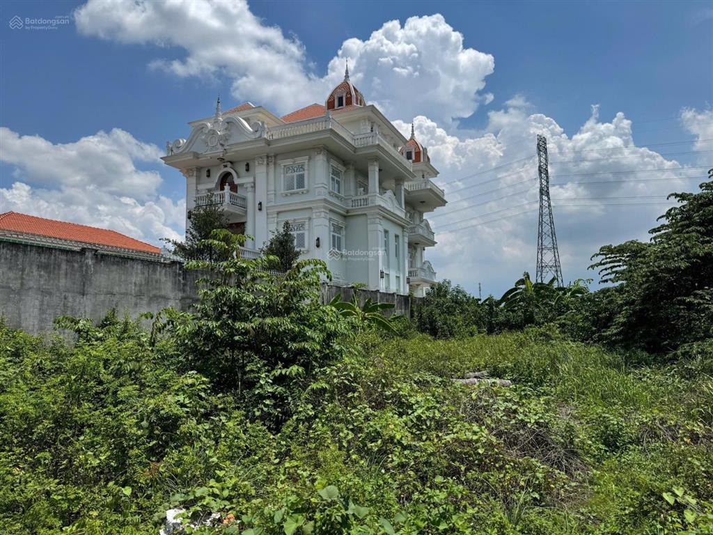 Ngân hàng thanh lý bán đất mặt tiền đường quốc lộ 1a, tp tân an, long an