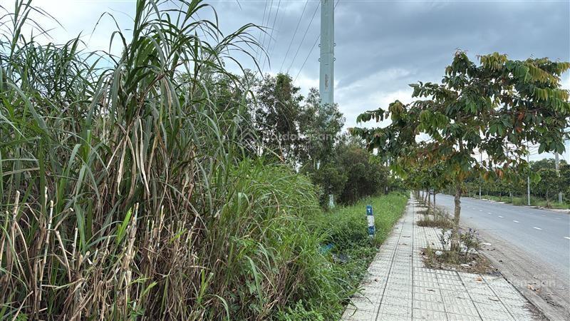 Ngân hàng thanh lý bán đất lớn mặt tiền đường tân hiệp 9, xã tân hiệp, huyện hóc môn, tphcm