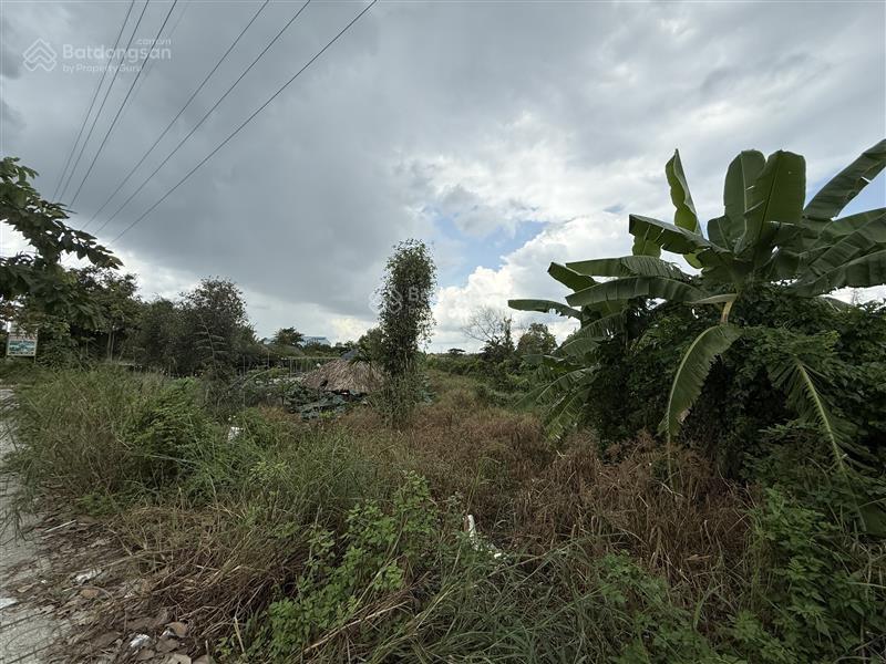 Ngân hàng thanh lý bán đất lớn mặt tiền đường tân hiệp 9, xã tân hiệp, huyện hóc môn, tphcm