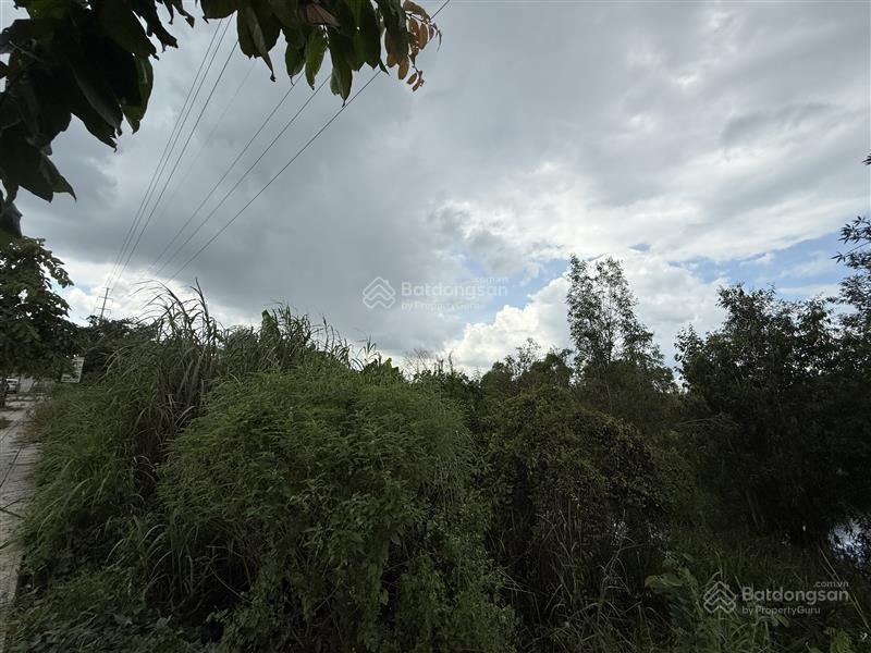 Ngân hàng thanh lý bán đất lớn mặt tiền đường tân hiệp 9, xã tân hiệp, huyện hóc môn, tphcm