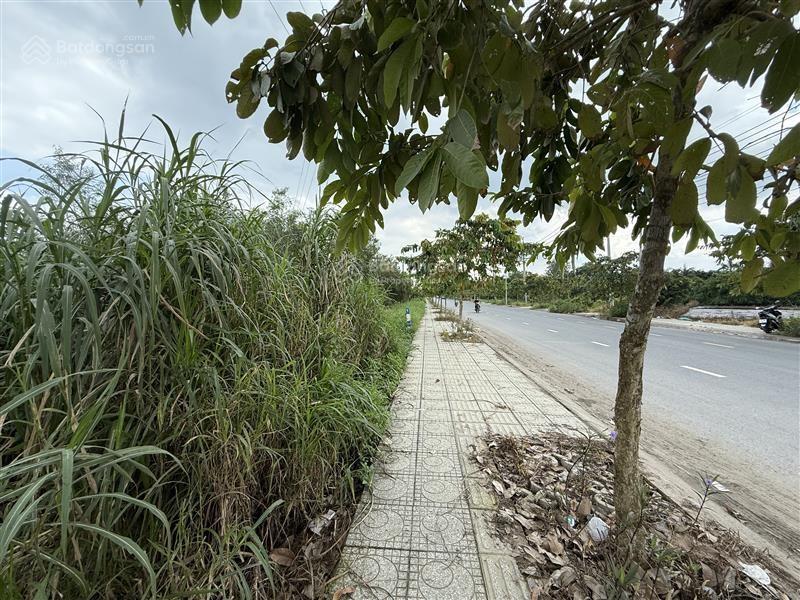Ngân hàng thanh lý bán đất lớn mặt tiền đường tân hiệp 9, xã tân hiệp, huyện hóc môn, tphcm