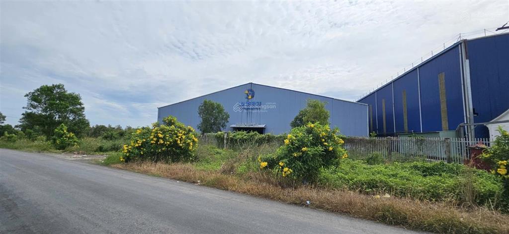 Ngân hàng shb thanh lý bán khu đất lớn có sẵn nhà kho xưởng tại xã tân đông, h thạnh hóa, t long an