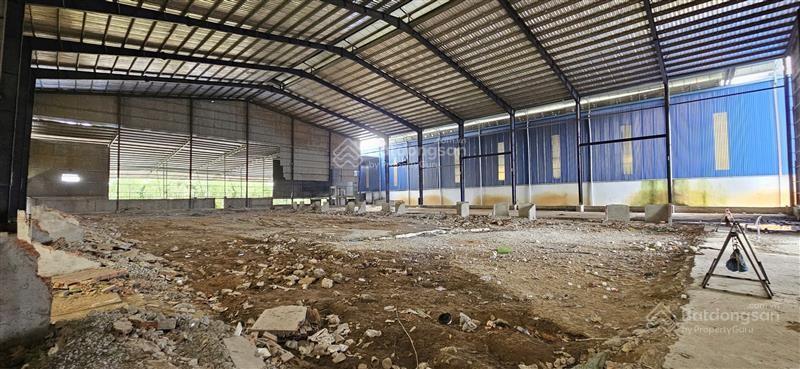 Ngân hàng shb thanh lý bán khu đất lớn có sẵn nhà kho xưởng tại xã tân đông, h thạnh hóa, t long an
