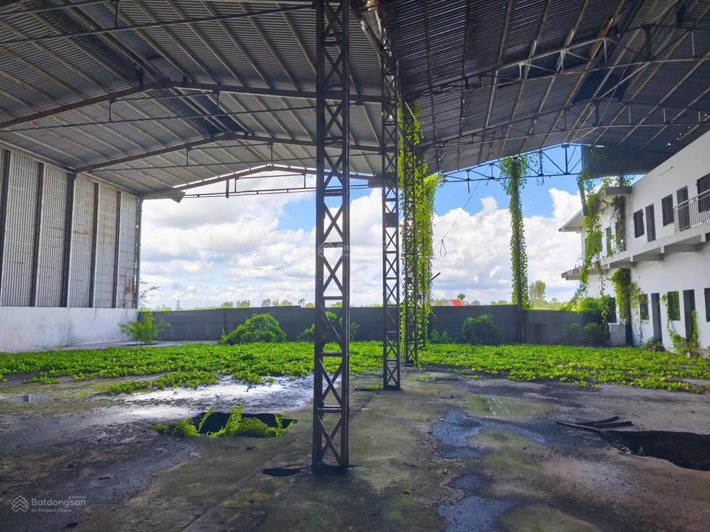 Bán kho xưởng 2mt ql91 sau giáp sông hậu, dt 2.556m², giá 9,8 tỷ