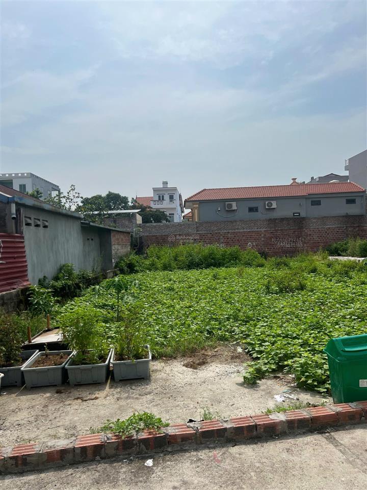 Cần bán gấp lô đất đẹp dương quan (tân dương), thuỷ nguyên, hải phòng giá chỉ 1 tỷ 968 triệu