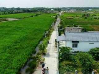 Phước khánh đất vườn đường xe hơi mặt rạch giá 2,xx tỷ /1300m2
