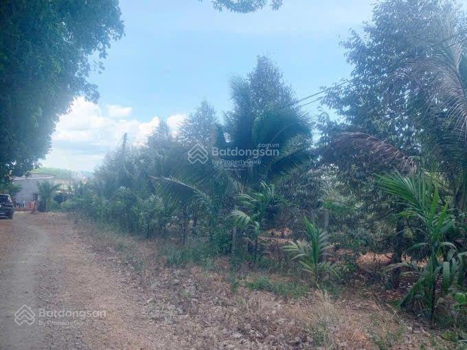 Bán đất đẹp tại xuân phú, 1.52 tỷ, 1200m2, tiện ích đầy đủ, chính chủ