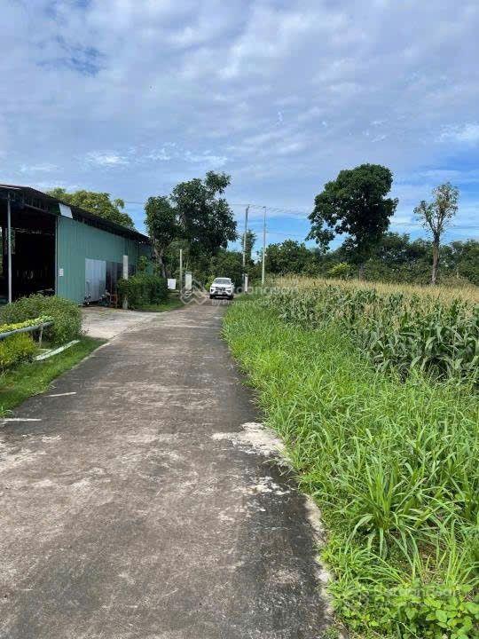 Bán đất đẹp tại xuân phú, 1.52 tỷ, 1200m2, tiện ích đầy đủ, chính chủ