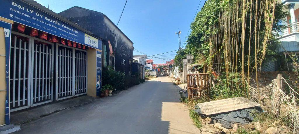 🔥 BÁN GẤP 44M² MAI ĐÌNH – SÓC SƠN NGÕ THÔNG Ô TÔ – GIÁ HƠN 2 TỶ 🔥  