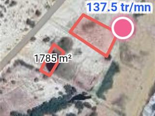 Bán trang trại tại hoà thắng, bắc bình, bình thuận, 4,435 tỷ, 1774 m2 giá siêu hời