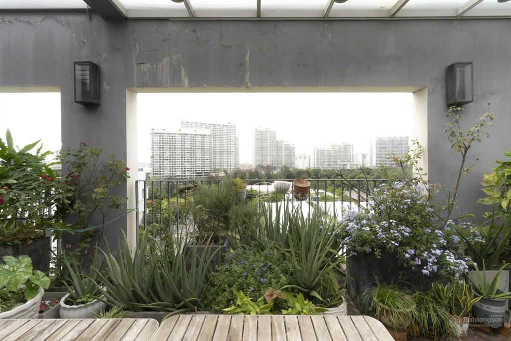 Cho thuê căn penthouse cao cấp, block m, chung cư star hill, khu tài chính phú mỹ hưng