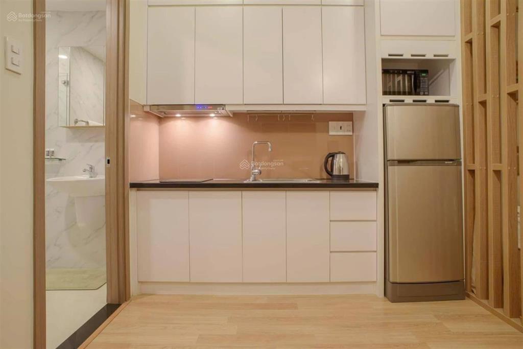 Cho thuê căn hộ 1pn tại võ văn tần quận 3 gần vòng xoay dân chủ, phố đi bộ bùi viện, dinh độc