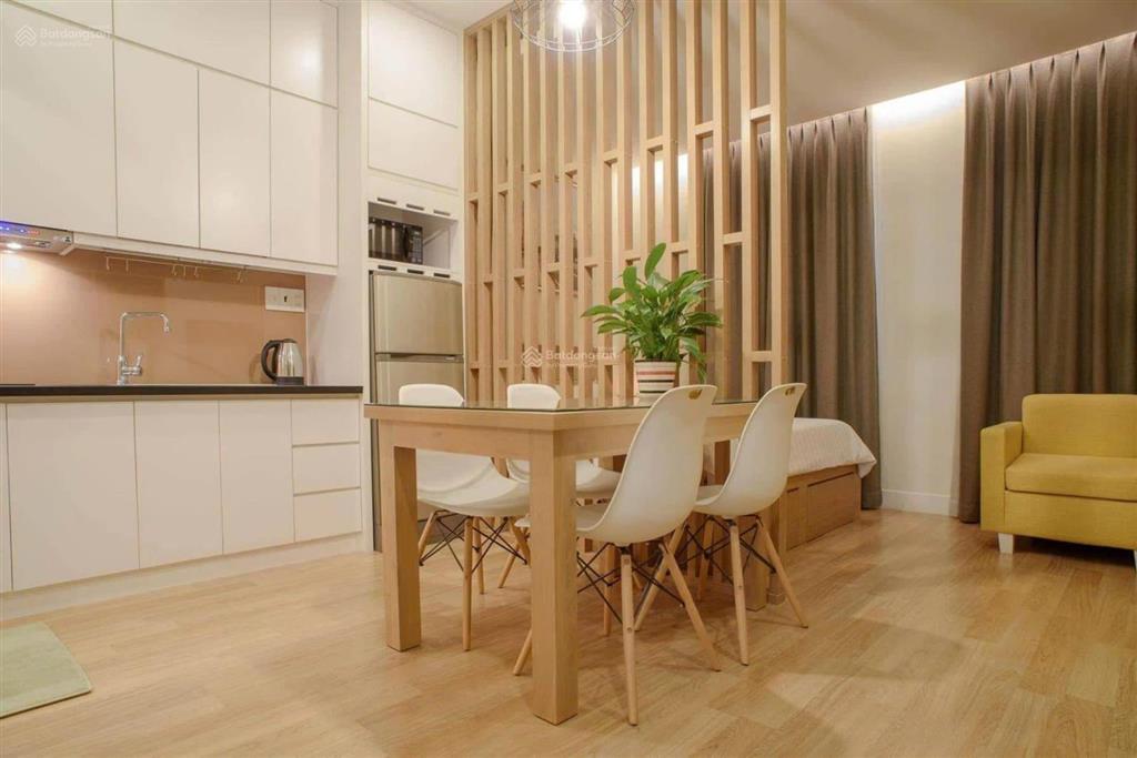 Cho thuê căn hộ 1pn tại võ văn tần quận 3 gần vòng xoay dân chủ, phố đi bộ bùi viện, dinh độc