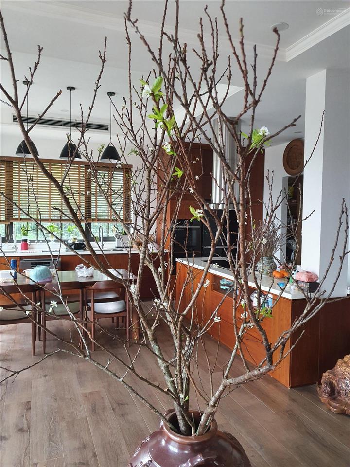 Siêu hiếm biệt thự sông đuống, phố bắc cầu, long biên, hà nội. view triệu$,1000m đất giá 33,5 tỷ