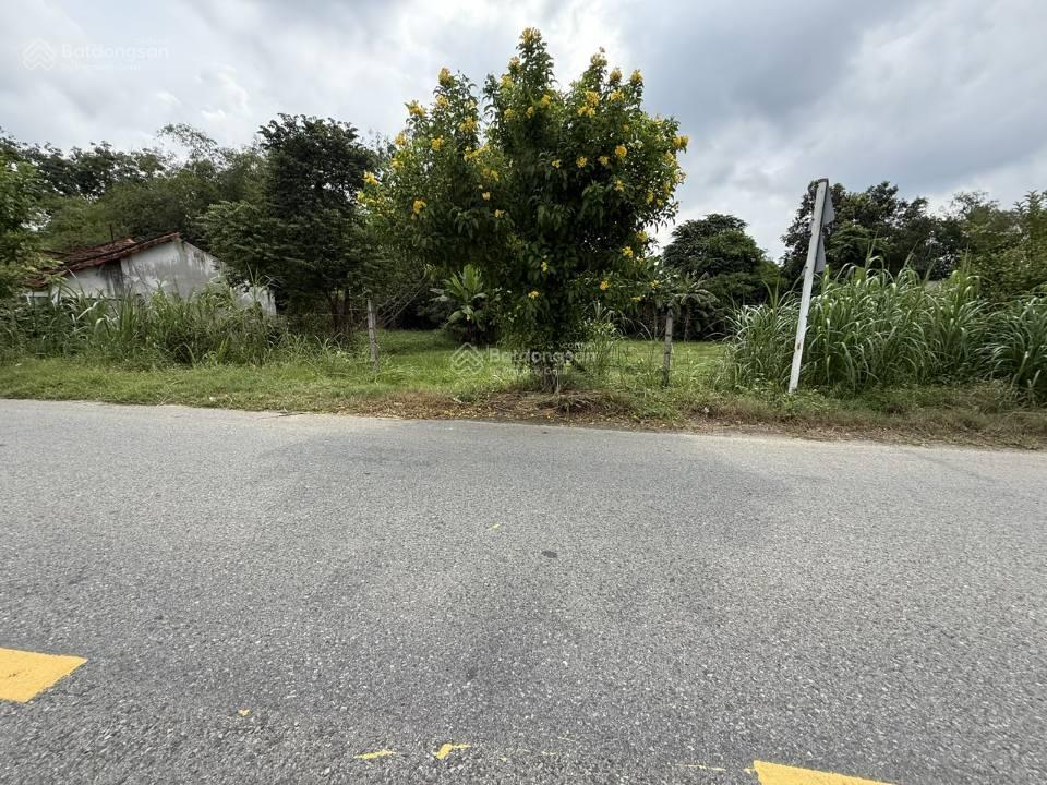 Chủ ngộp! bán nhanh đất 115m2 thổ cư gần hết. đ nguyễn thị lắng, tpt, củ chi. shr, sẵn sổ giá 1ty3