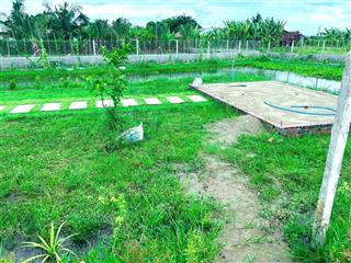 1300m2 đất đ. trường chinh, tt gò dầu. diện tích lớn, sẵn 150m2 thổ cư, shr xây ngay. giá chỉ 1ty